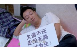 镇雄县要账公司：债务回收的守护者