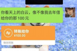风控严好催收吗?揭秘金融行业中的风险控制与催收策略 风控严好催收吗?揭秘金融行业中的风险控制与催收策略