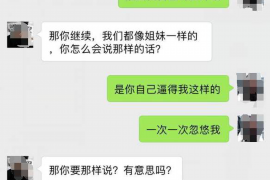 贷款客服催收语述：高效沟通的艺术