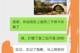 辛集追款公司收费标准：揭秘专业追款服务的价格构成