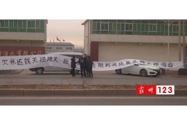 催收投诉案件怎么写报告 催收投诉案件怎么写报告